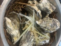 -臻炙大舍烤串(天龙家园店)