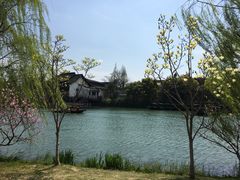 -乌村