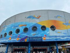 -海合安青岛极地海洋公园