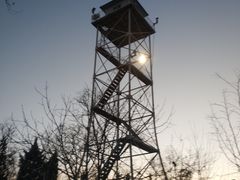 -云岗森林公园