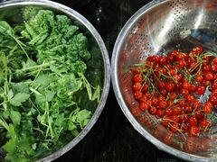 -黔府豆米火锅野菜馆(南马店)