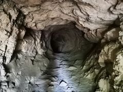 -上海佘山国家森林公园天马山园