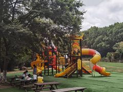 -白马涧龙池景区