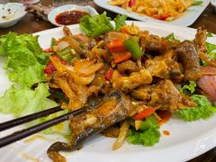 -清真·益鑫羊肉手抓馆(花园北街店)