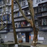 成都周边游| 闲逛在都江堰文庙街