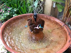 -清迈女子监狱马杀鸡(无分店)