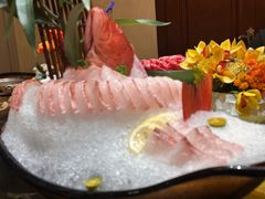 东星斑-半岛翡丽海鲜自助餐厅(观风亭店)