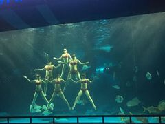-泉城欧乐堡海洋极地世界
