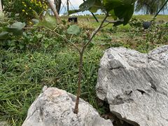 -东钱湖小普陀景区