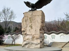 -北京鹫峰国家森林公园