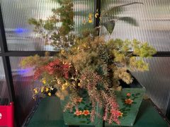 -T館·花园艺术餐厅
