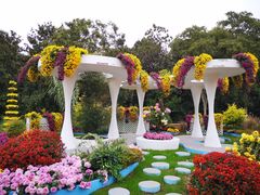 -上海共青森林公园