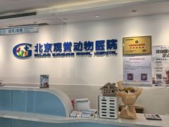 -北京观赏动物医院·24小时大型综合·猫专科·异宠专科