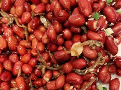 -紫光园·烤鸭·北京菜(劲松店)