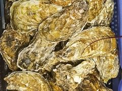 -吴记富苑(朝阳店)