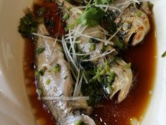 -上海南汇嘴大堤酒店