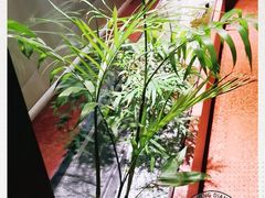 -柴门头啖汤·经典川菜·慢火汤品(锦城万达店)