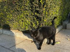 -北京宽沟会议中心