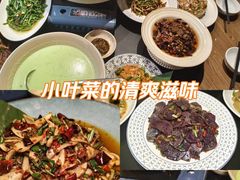 -滇铺子·云南特色菜·第九届野生菌美食节(曲靖万达店)