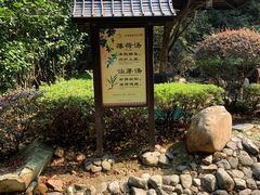 -明月山天沐温泉度假村