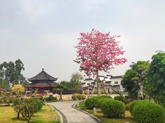 -广东圆玄道观
