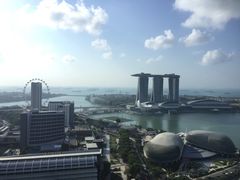 -新加坡瑞士史丹福酒店