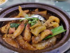 花胶炆蹄筋-六婶西关小厨(光塔路店)