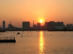 -台场海滨公园船码头
