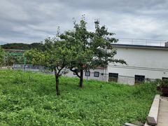 -丽泽山庄·生态怀柔菜·虹鳟鱼(红螺寺店)