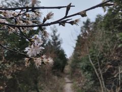 -东白山
