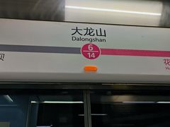 -大龙山(地铁站)