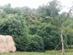 -蜀冈西峰生态公园