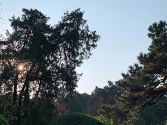 -香山公园