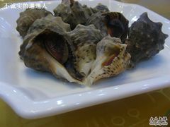 海螺-海岛渔村大酒店(云霄路店)