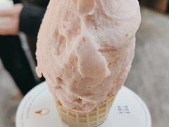 -野人先生现做冰淇淋(西安赛格店)
