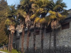 -南阳卧龙岗武侯祠