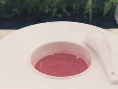 -诺莱仕游艇会