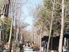 -西安大兴善寺