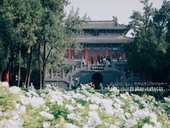 -洛阳白马寺