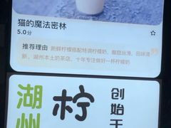 -猫的魔法密林(衣裳街店)