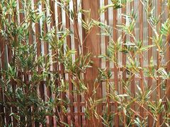 -百富源·海鲜辽菜(和平北大街店)