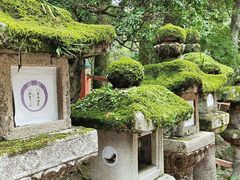 -奈良公园