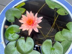 -西安市广仁寺