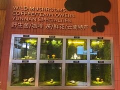 -芸山季·云南野生菌火锅(宝能环球汇店)