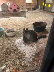 -酷嗒动物文化乐园(cutezoo西溪乐天城店)