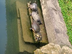 -宁波市保国寺古建筑博物馆