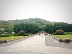 -临安城遗址(太庙遗址)