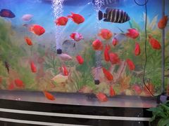 -清真悦宾楼食府(海湖店)