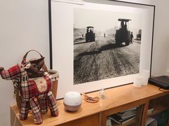 靠窗位-尤加利咖啡馆