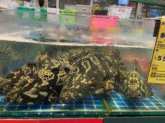 -三亚火车头万人海鲜广场